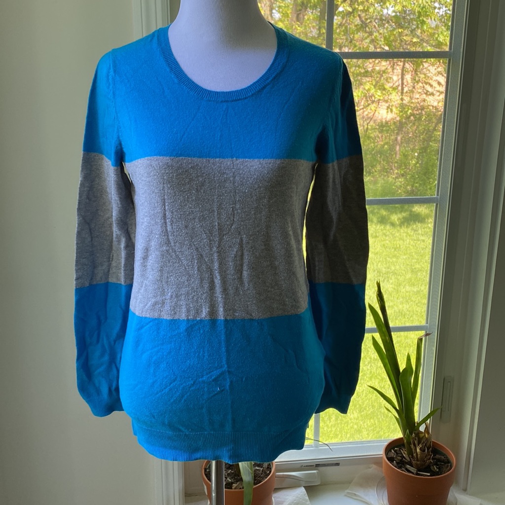 Gap Sweater(B)